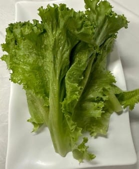 Salad Leaves.