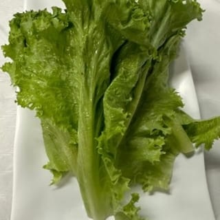 Salad Leaves
