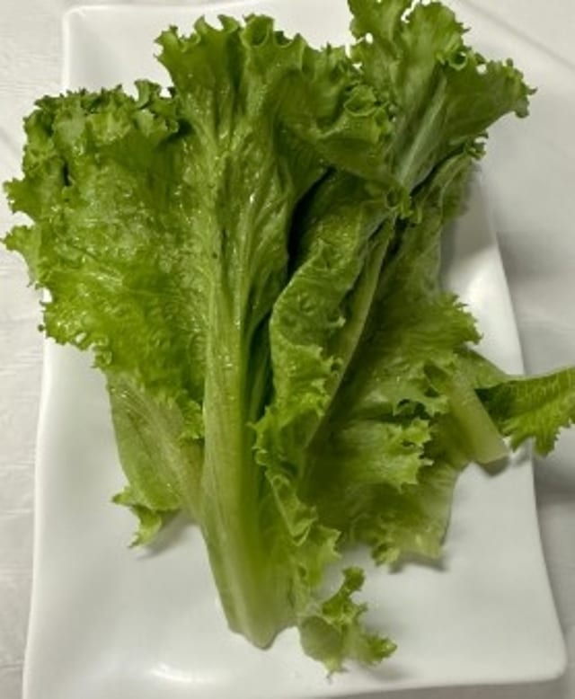 Salad Leaves.